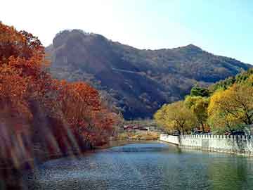 澳门天天免费精准大全，沈阳饮水机